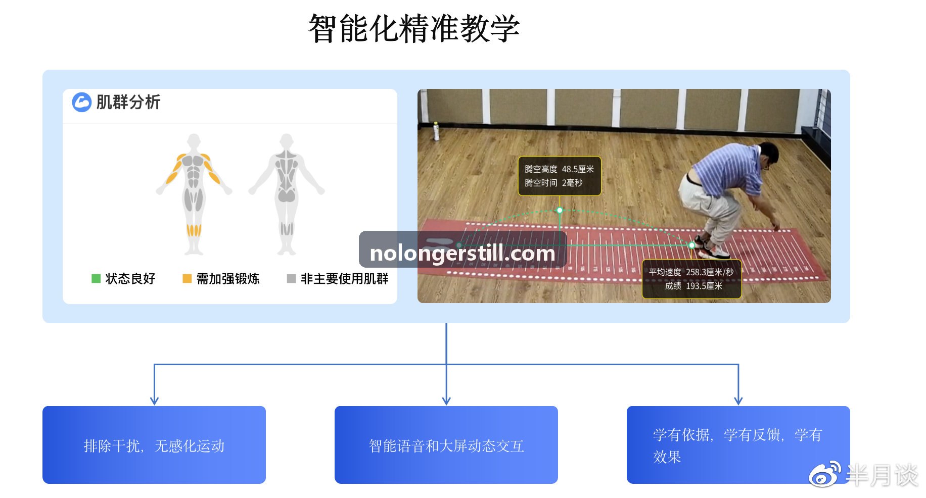 ZUNLONG官网【首页】速度力量与VBT测力算法解析